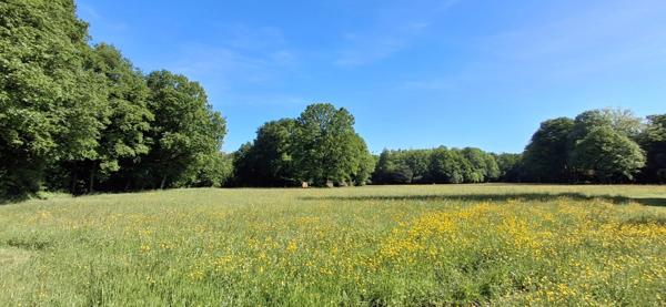 Château du XVIII eme a 1h10 de Paris. Conçu pour accueillir activités professionnelles et vie familiale indépendante.