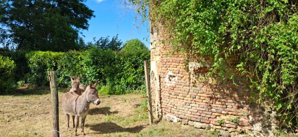 Château du XVIII eme a 1h10 de Paris. Conçu pour accueillir activités professionnelles et vie familiale indépendante.