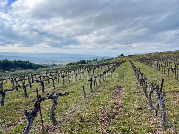 Domaine au coeur du LUBERON