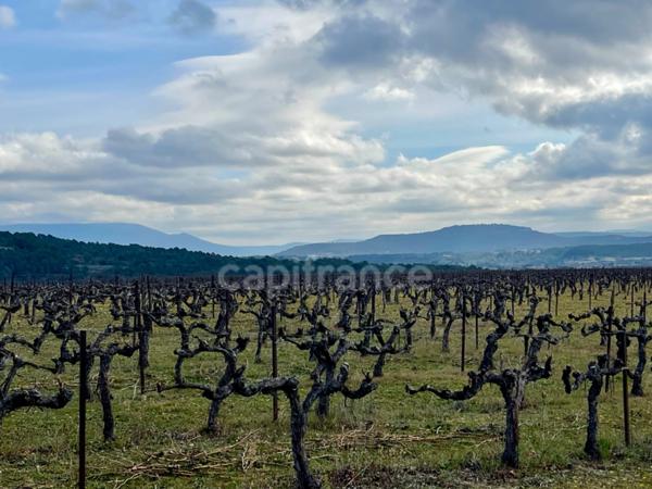 Domaine au coeur du LUBERON