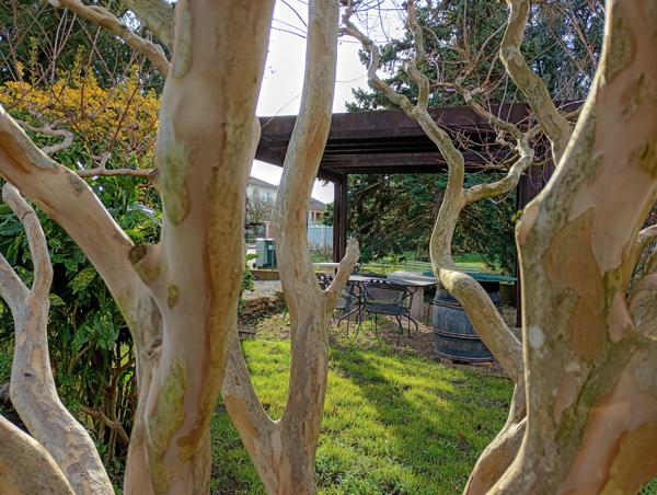 Maison 4 pièces - 83 m² Exclusivité efficity