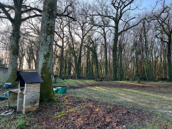 Maison 5 chambres et un studio indépendant aux portes de SAINT AULAYE PUYMANGOU (24)