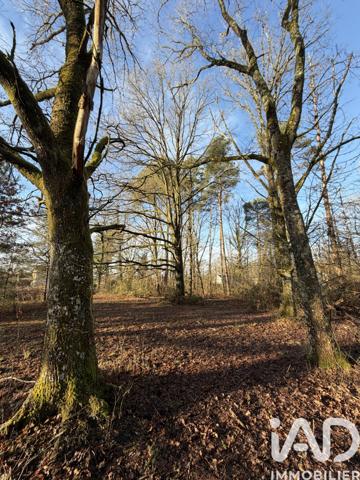 Terrain à vendre 9 422 m² Nançay