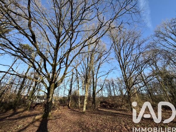 Terrain à vendre 9 422 m² Nançay