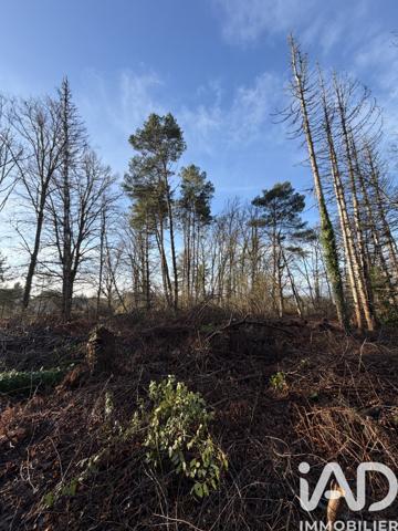 Terrain à vendre 9 422 m² Nançay