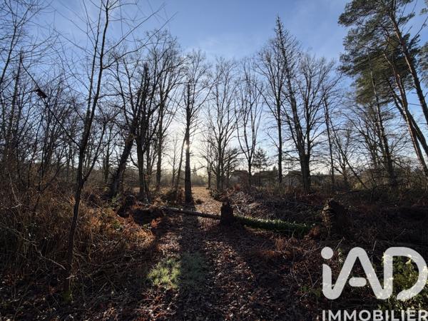 Terrain à vendre 9 422 m² Nançay