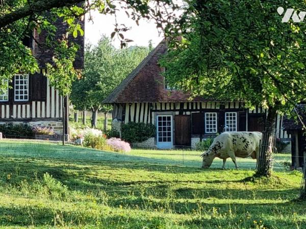 Belle propriété normande constituée de 3 maisons et piscine