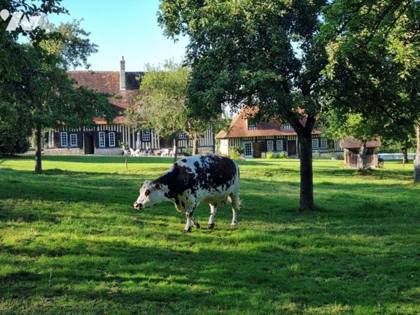 Belle propriété normande constituée de 3 maisons et piscine