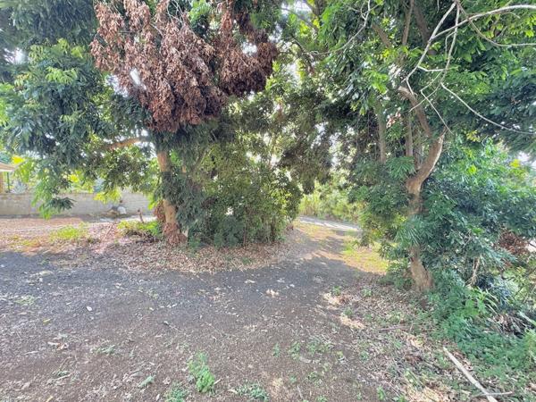 Terrain à vendre LA RIVIERE (974) - Terrain de 336m2