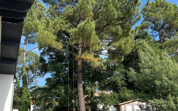 Maison à vendre    5 pièces •  Labenne