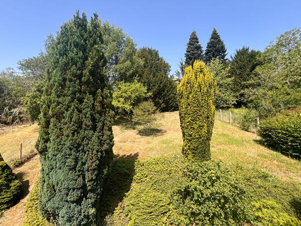 Maison Montrichard - 163 m²