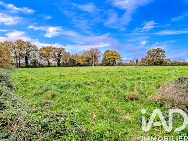 Maison à vendre 7 pièces 258 m² Gouex