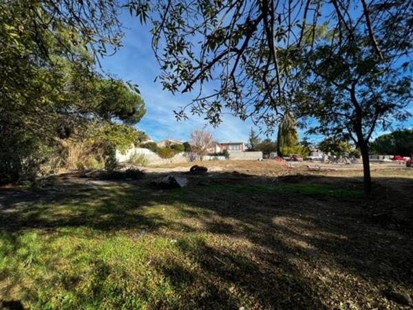 Dpt Hérault (34), à vendre JUVIGNAC terrain à Bâtir de 623 m2, viabilisé, borné, piscinable.