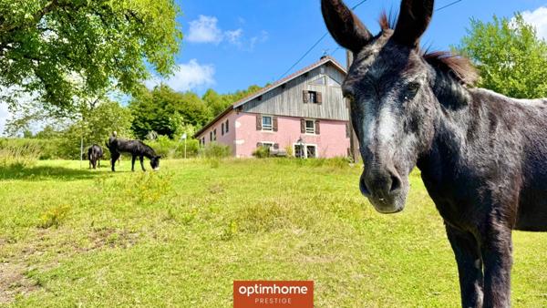 Vente domaine exceptionnel – Ferme vosgienne et chalet – 6,78 ha – Le Thillot (Hautes-Vosges)