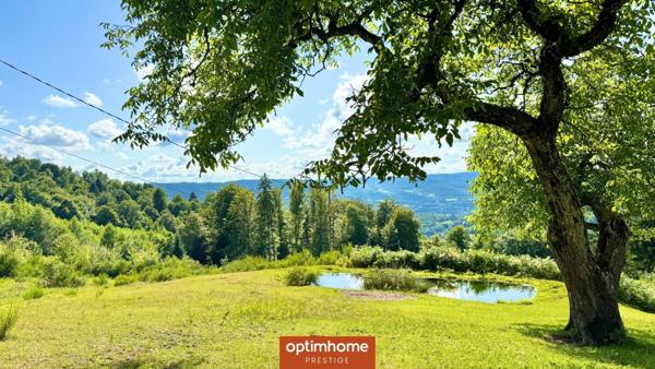 Vente domaine exceptionnel – Ferme vosgienne et chalet – 6,78 ha – Le Thillot (Hautes-Vosges)