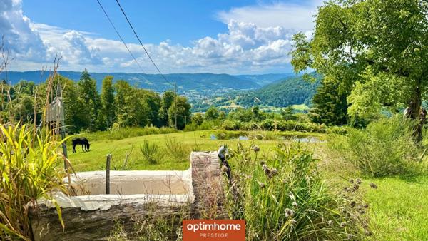 Vente domaine exceptionnel – Ferme vosgienne et chalet – 6,78 ha – Le Thillot (Hautes-Vosges)