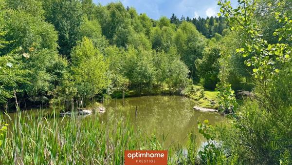 Vente domaine exceptionnel – Ferme vosgienne et chalet – 6,78 ha – Le Thillot (Hautes-Vosges)