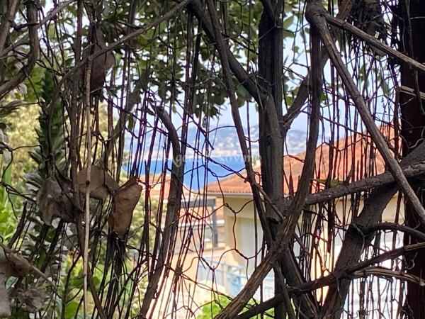 Projet Rare : Créez Votre Villa d’Exception avec Vue Mer à Théoule-sur-Mer