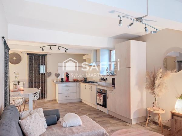 Projet pour investisseur . Maison de ville louée