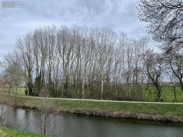 Achat - Terrain de loisirs, bois, étangs Le Mans 72000 1280 m 2