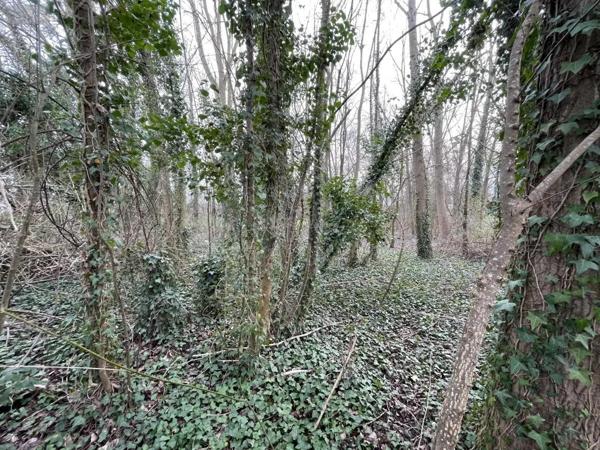Achat - Terrain de loisirs, bois, étangs Le Mans 72000 1280 m 2