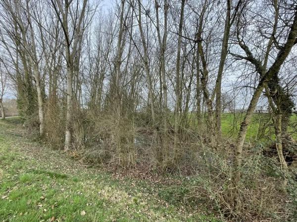 Achat - Terrain de loisirs, bois, étangs Le Mans 72000 1280 m 2