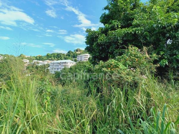 Terrain à vendre de 1 447,00 m² LA TRINITE (972)