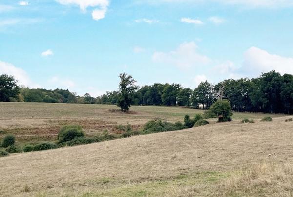Maison à vendre |  La Coquille |  5 pièces | 80 m²