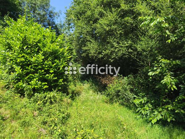 Maison 5 pièces - 108 m²