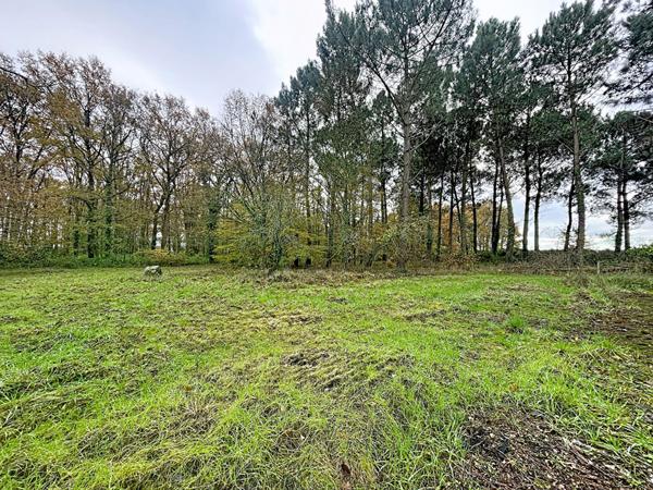 Maison plain pied Les Bois d'Anjou, 4 pièces 74.30 m²