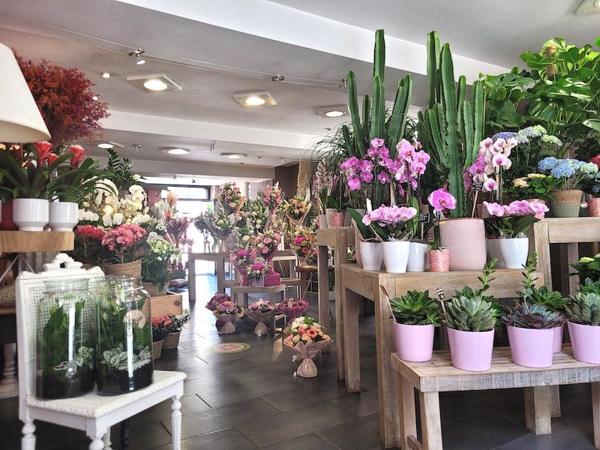 À vendre - Boutique 120 m² située à Navarrenx (64190)