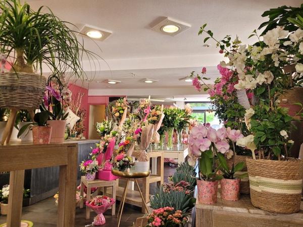 À vendre - Boutique 120 m² située à Navarrenx (64190)