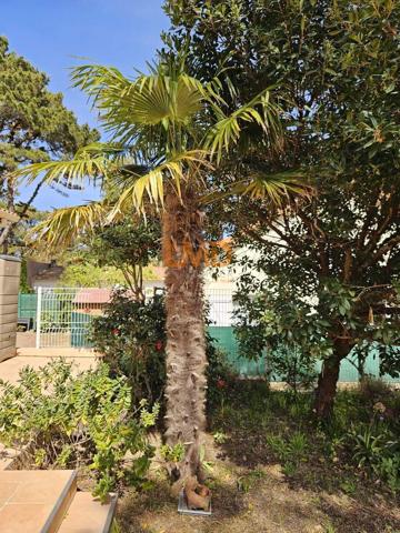 Maison 6 Pièces 150 m² - Vue mer – Saint-Brevin Mindin