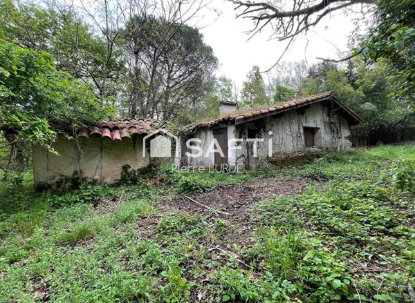 Le Fau - Ferme à rénover sur un hectare de bois