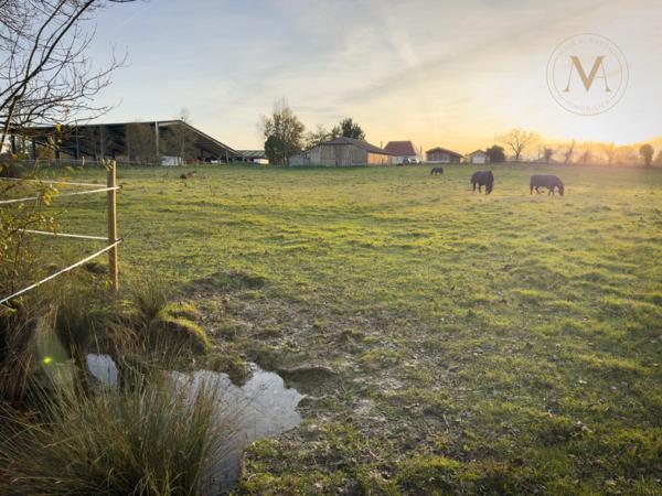 Propriete équestre avec 20ha d’un seul tenant proche de VILLEREAL (47)