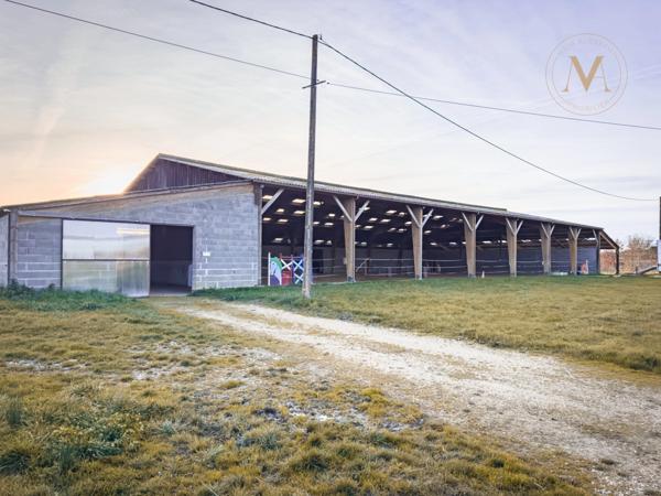 Propriete équestre avec 20ha d’un seul tenant proche de VILLEREAL (47)