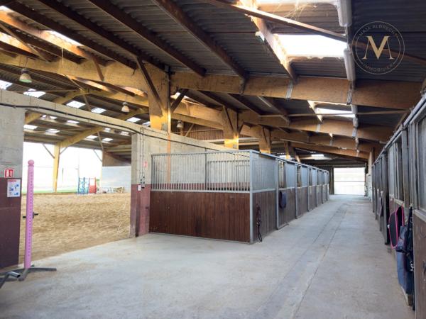 Propriete équestre avec 20ha d’un seul tenant proche de VILLEREAL (47)