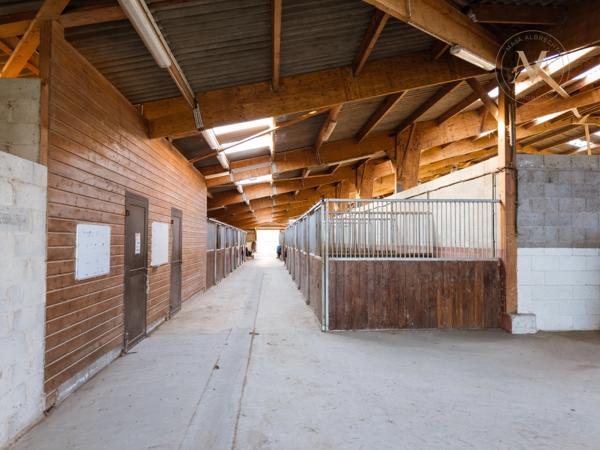 Propriete équestre avec 20ha d’un seul tenant proche de VILLEREAL (47)