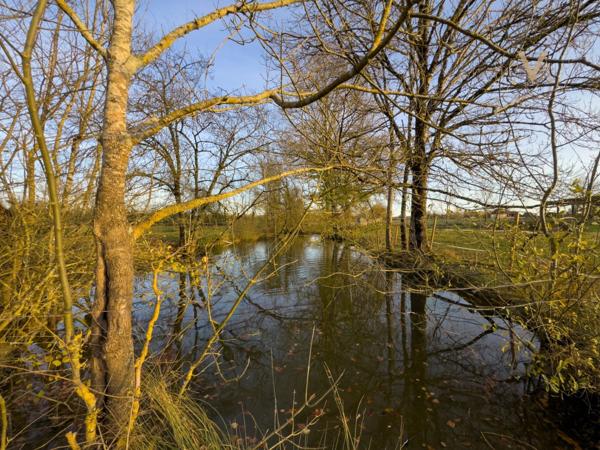 Propriete équestre avec 20ha d’un seul tenant proche de VILLEREAL (47)