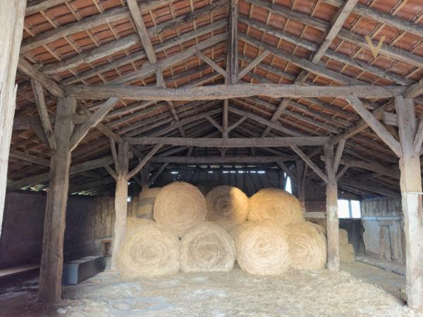 Propriete équestre avec 20ha d’un seul tenant proche de VILLEREAL (47)