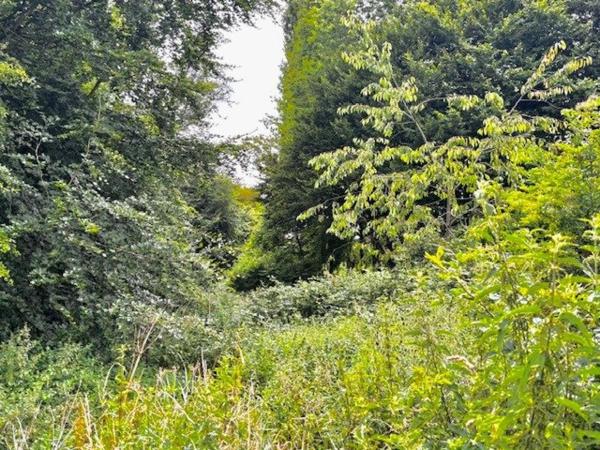 maison de village calme proche de neufchâtel en Bray Blangy sur Bresle Aumale et de l'AutoRoute