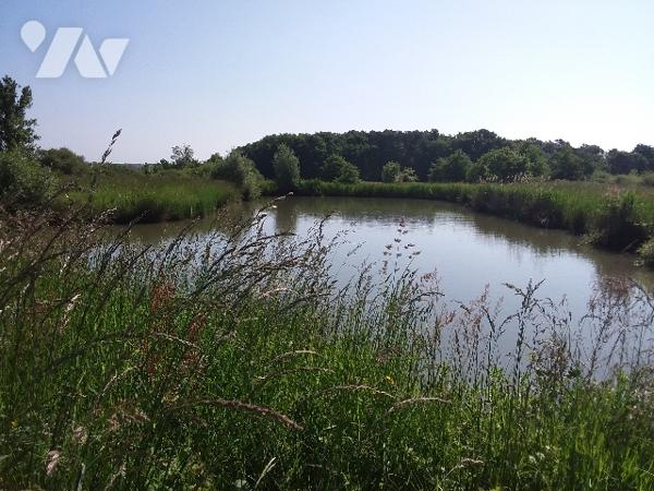 TERRAIN DE LOISIR D'1 HA AVEC PLAN D'EAU A CONTRES
