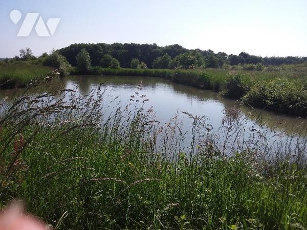 TERRAIN DE LOISIR D'1 HA AVEC PLAN D'EAU A CONTRES