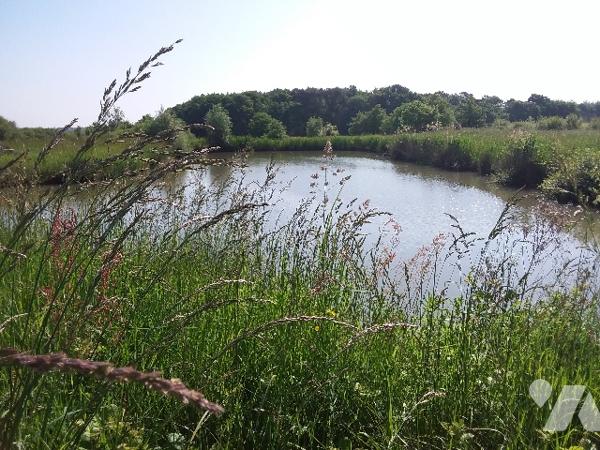 TERRAIN DE LOISIR D'1 HA AVEC PLAN D'EAU A CONTRES