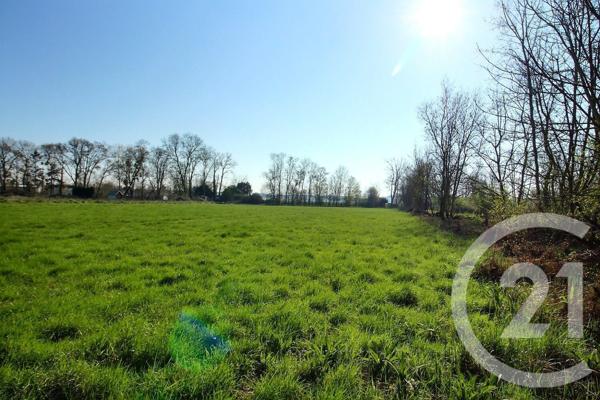 Terrain à vendre  6482 m2 ST OUEN - 41