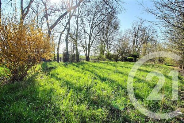 Terrain à vendre  6482 m2 ST OUEN - 41