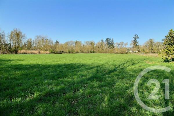 Terrain à vendre  6482 m2 ST OUEN - 41