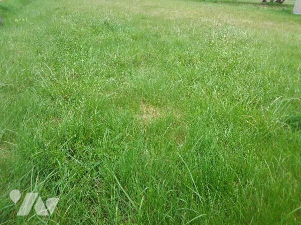 TERRAIN CONSTRUCTIBLE A 7 MNS DE CONTRES, 20 MNS DE BLOIS