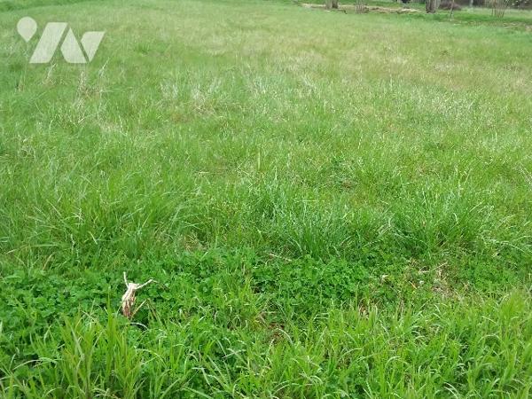 TERRAIN CONSTRUCTIBLE A 7 MNS DE CONTRES, 20 MNS DE BLOIS