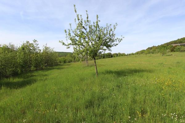 Terrain à vendre de 4 015,00 m² dont 870 m² constructibles LA BUSSIERE SUR OUCHE (21)